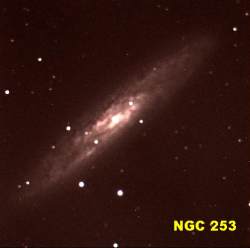 NGC 253