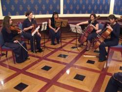 kwintet smyczkowy gra melodi� ze Shreka