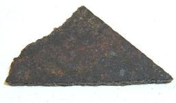 NWA 4969 - brachinit