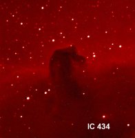 IC 434